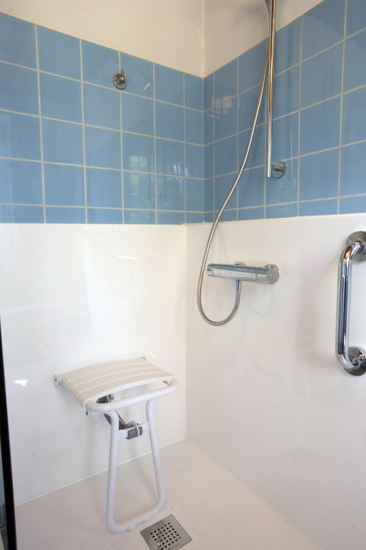 Accessible Shower Features